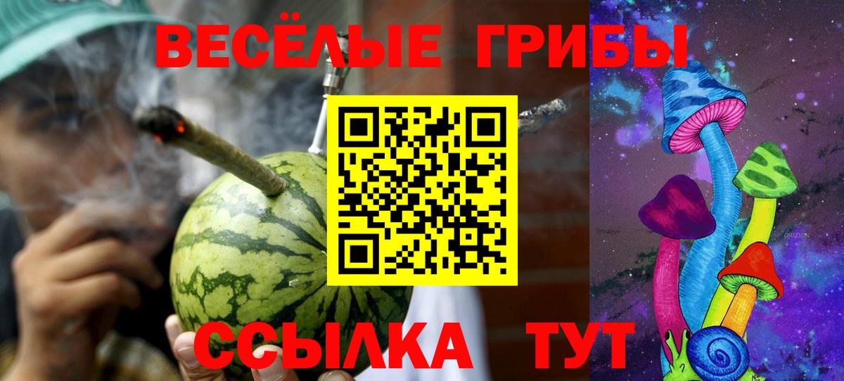 Псилоцибиновые грибы мицелий  Галлюциногенные грибы Psilocybe  Вход с VPN  Малгобек 