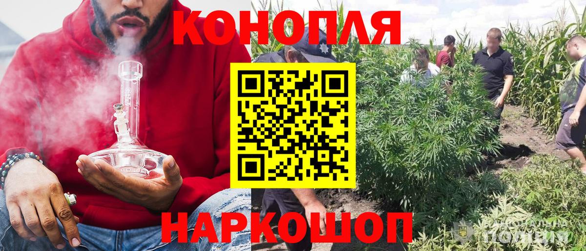 Марихуана индика  Каннабис семена  Вход с VPN  Малгобек 